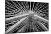 Chicago, Illinois. Ferris Wheel at Navy Pier on Lake Michigan-Rona Schwarz-Mounted Photographic Print