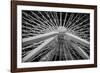 Chicago, Illinois. Ferris Wheel at Navy Pier on Lake Michigan-Rona Schwarz-Framed Photographic Print