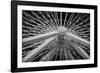 Chicago, Illinois. Ferris Wheel at Navy Pier on Lake Michigan-Rona Schwarz-Framed Photographic Print