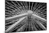 Chicago, Illinois. Ferris Wheel at Navy Pier on Lake Michigan-Rona Schwarz-Mounted Photographic Print