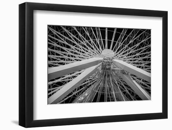 Chicago, Illinois. Ferris Wheel at Navy Pier on Lake Michigan-Rona Schwarz-Framed Photographic Print