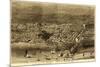 Chicago, Illinois - Panoramic Map No. 1-Lantern Press-Mounted Art Print