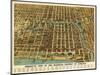 Chicago, Illinois - Panoramic Map-Lantern Press-Mounted Art Print