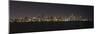 Chicago Illinois Skyline-Patrick Warneka-Mounted Premium Photographic Print