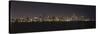 Chicago Illinois Skyline-Patrick Warneka-Stretched Canvas