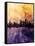 Chicago Illinois Skyline-Michael Tompsett-Framed Stretched Canvas