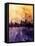 Chicago Illinois Skyline-Michael Tompsett-Framed Stretched Canvas