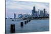 Chicago, Illinois, USA, Seagulls sit atop metal pylons in the waters of Lake Michigan.-Brent Bergherm-Stretched Canvas