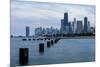 Chicago, Illinois, USA, Seagulls sit atop metal pylons in the waters of Lake Michigan.-Brent Bergherm-Mounted Photographic Print