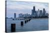 Chicago, Illinois, USA, Seagulls sit atop metal pylons in the waters of Lake Michigan.-Brent Bergherm-Stretched Canvas