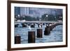 Chicago, Illinois, USA, Seagulls sit atop metal pylons in the waters of Lake Michigan.-Brent Bergherm-Framed Photographic Print