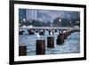 Chicago, Illinois, USA, Seagulls sit atop metal pylons in the waters of Lake Michigan.-Brent Bergherm-Framed Photographic Print