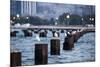 Chicago, Illinois, USA, Seagulls sit atop metal pylons in the waters of Lake Michigan.-Brent Bergherm-Mounted Photographic Print