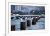 Chicago, Illinois, USA, Seagulls sit atop metal pylons in the waters of Lake Michigan.-Brent Bergherm-Framed Photographic Print