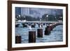 Chicago, Illinois, USA, Seagulls sit atop metal pylons in the waters of Lake Michigan.-Brent Bergherm-Framed Photographic Print