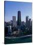 Chicago Illinois, USA-null-Stretched Canvas