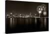 Chicago Lakefront Skyline With Fireworks BW-Steve Gadomski-Stretched Canvas