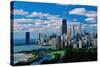 Chicago, Lincoln Park & Diversey Harbor-null-Stretched Canvas