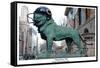 Chicago Lions In Chicago Bears Helmet-Patrick Warneka-Framed Stretched Canvas