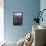 Chicago Loop Sundown BW Color Blend-Steve Gadomski-Framed Stretched Canvas displayed on a wall