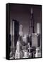 Chicago Loop Towers BW-Steve Gadomski-Framed Stretched Canvas