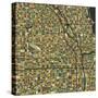 Chicago Map-Blue Jazzberry-Stretched Canvas