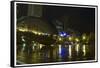 Chicago millenium park-Patrick  J. Warneka-Framed Stretched Canvas