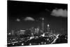 Chicago Night Lights-Steve Gadomski-Stretched Canvas