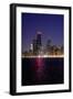 Chicago On The Lake-Steve Gadomski-Framed Photographic Print