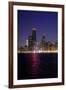 Chicago On The Lake-Steve Gadomski-Framed Photographic Print