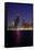 Chicago On The Lake-Steve Gadomski-Framed Stretched Canvas