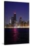 Chicago On The Lake-Steve Gadomski-Stretched Canvas