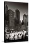 Chicago Park Skate BW-Steve Gadomski-Stretched Canvas