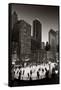 Chicago Park Skate BW-Steve Gadomski-Framed Stretched Canvas