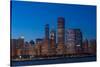 Chicago Parkside-Steve Gadomski-Stretched Canvas