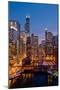 Chicago River City View-Steve Gadomski-Mounted Photographic Print