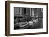 Chicago River Tour Boats BW-Steve Gadomski-Framed Photographic Print