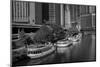 Chicago River Tour Boats BW-Steve Gadomski-Mounted Photographic Print