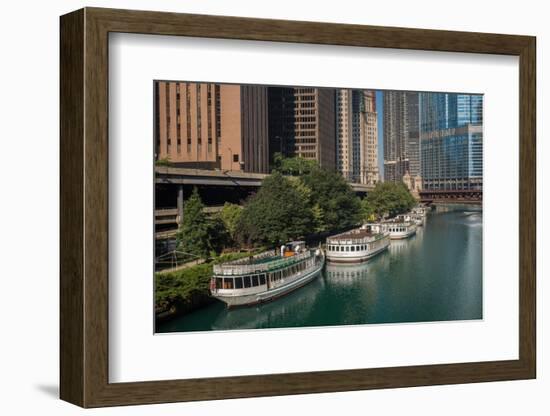 Chicago River Tour Boats-Steve Gadomski-Framed Photographic Print