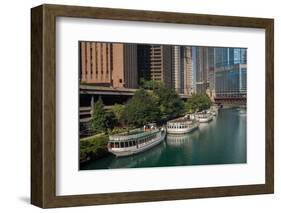 Chicago River Tour Boats-Steve Gadomski-Framed Photographic Print