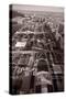 Chicago's Front Yard BW-Steve Gadomski-Stretched Canvas