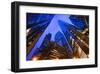 Chicago's Skyscrapers at Dusk-null-Framed Art Print