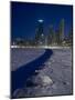 Chicago Skyline At North Ave Beach, Winter-Steve Gadomski-Mounted Photographic Print