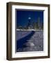 Chicago Skyline At North Ave Beach, Winter-Steve Gadomski-Framed Photographic Print