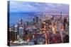 Chicago Skyline Panorama Aerial View with Skyscrapers over Lake Michigan with Cloudy  Sky at Dusk.-Songquan Deng-Stretched Canvas