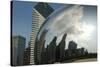 Chicago Skyline Reflected by the Bean-Patrick J. Warneka-Stretched Canvas