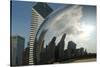 Chicago Skyline Reflected by the Bean-Patrick J. Warneka-Stretched Canvas