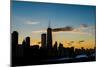 Chicago Skyline Silhouette-Steve Gadomski-Mounted Photographic Print