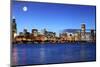 Chicago Skyline under the Moonlight-rebelml-Mounted Photographic Print