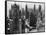 Chicago Skyscrapers in the Early 20th Century-Bettmann-Framed Stretched Canvas